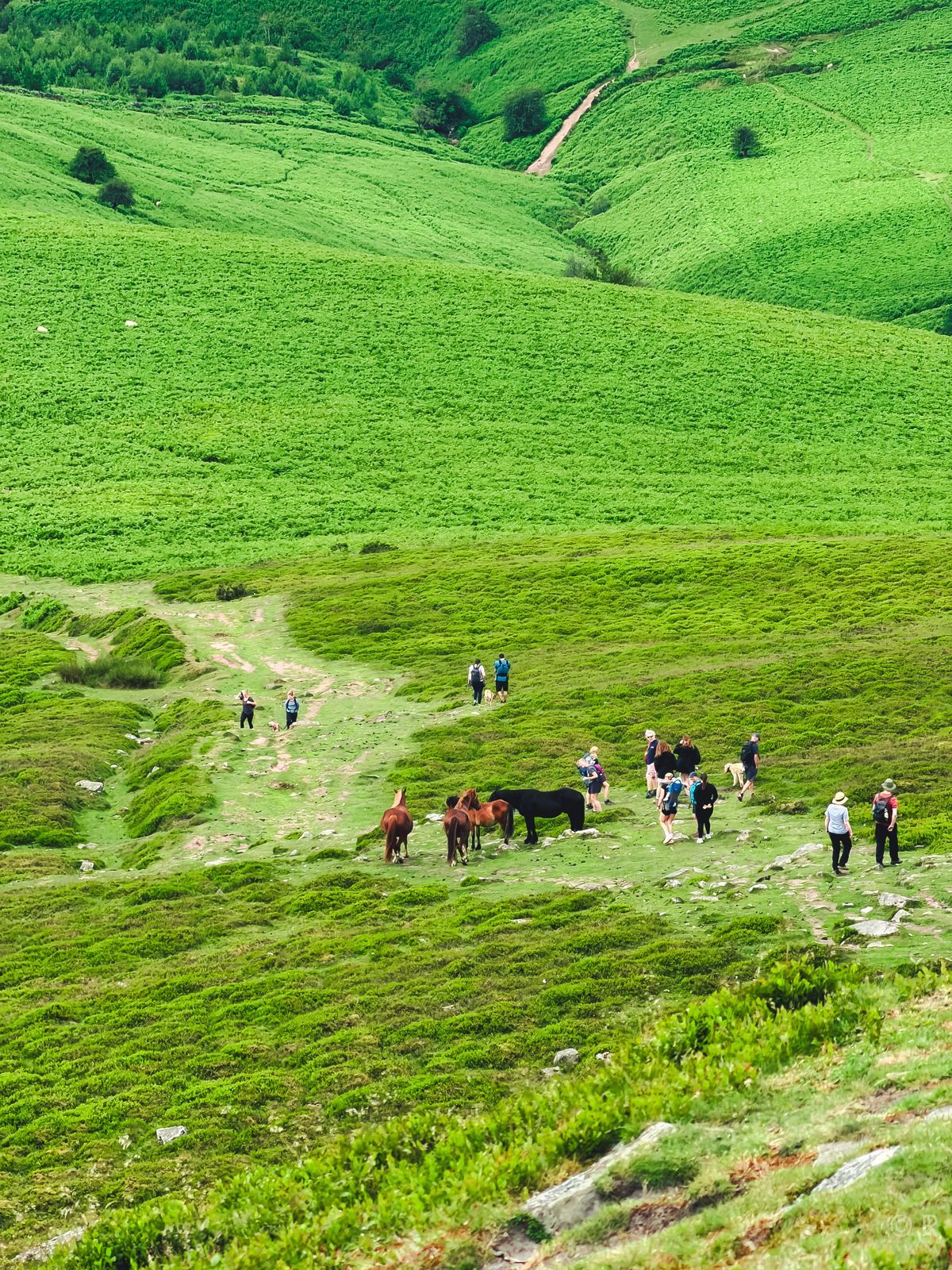 Sugar Loaf, Wales · Black Mountains: photo 8 from TRIP 01